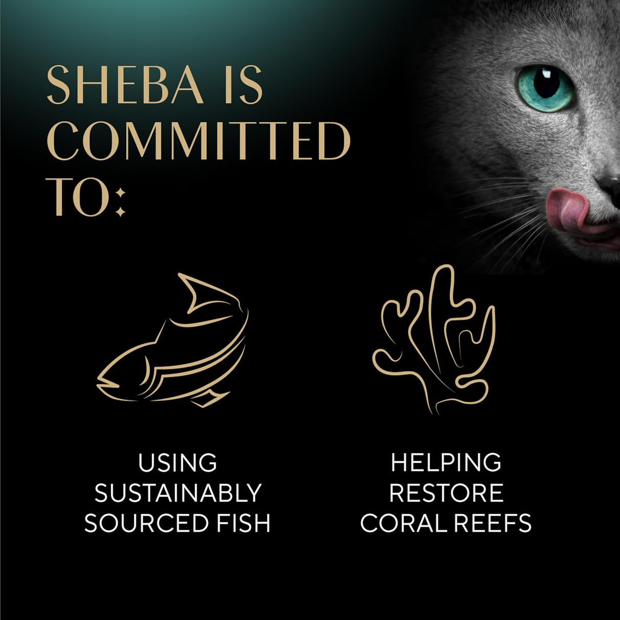 Sheba Golosinas Suaves para Gatos con Pollo y Atún, 40 Cts