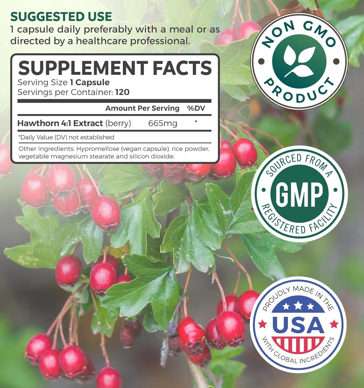 Suplemento Hawthorn Berry de digestión y salud cardíaca