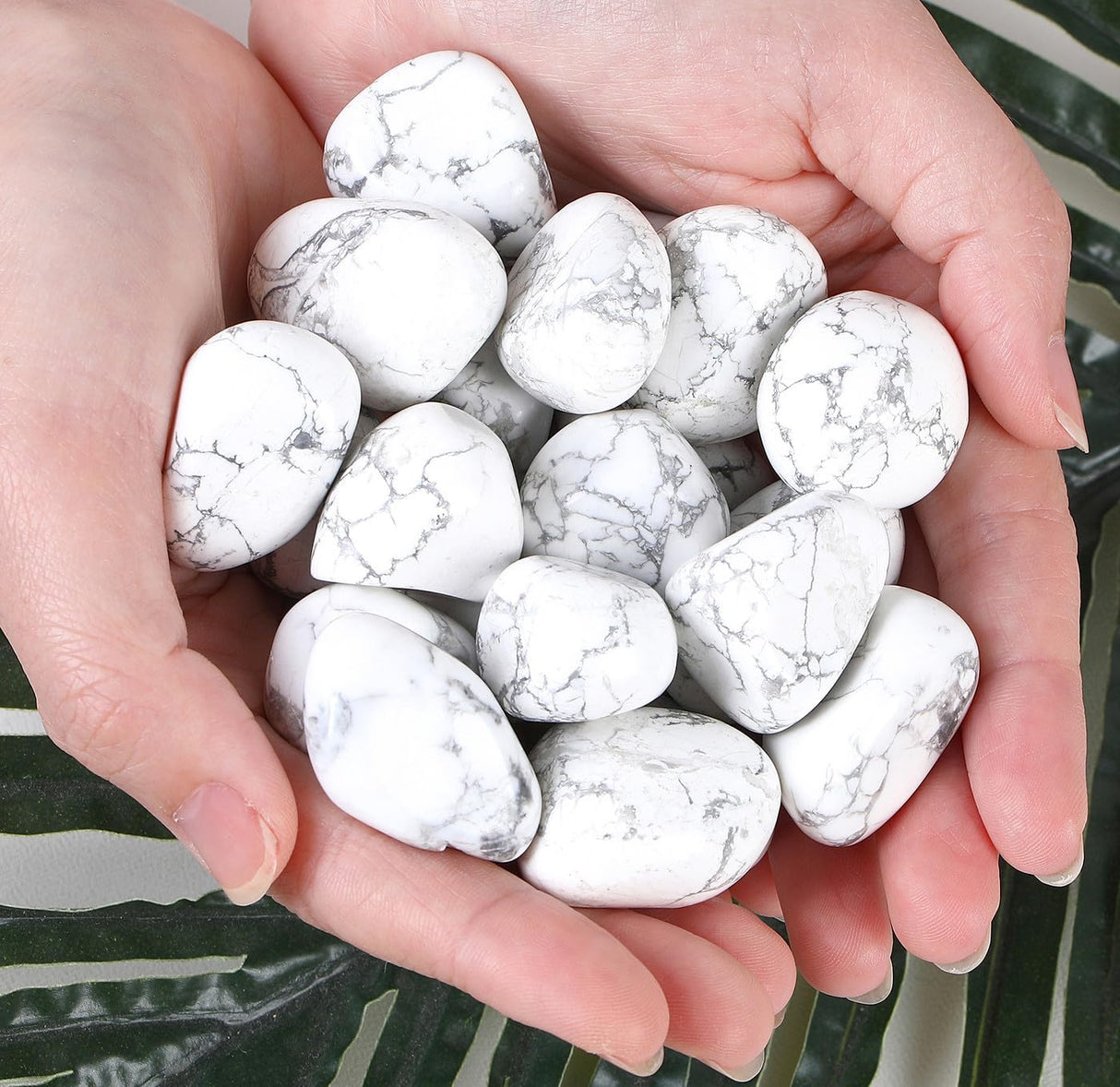 Cristales de Turquesa Blanca Irregulares Pulidos para Principiantes