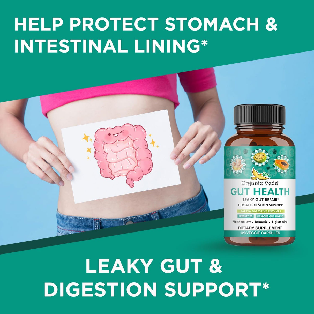 Suplemento para la Salud Intestinal con Enzimas y Prebióticos