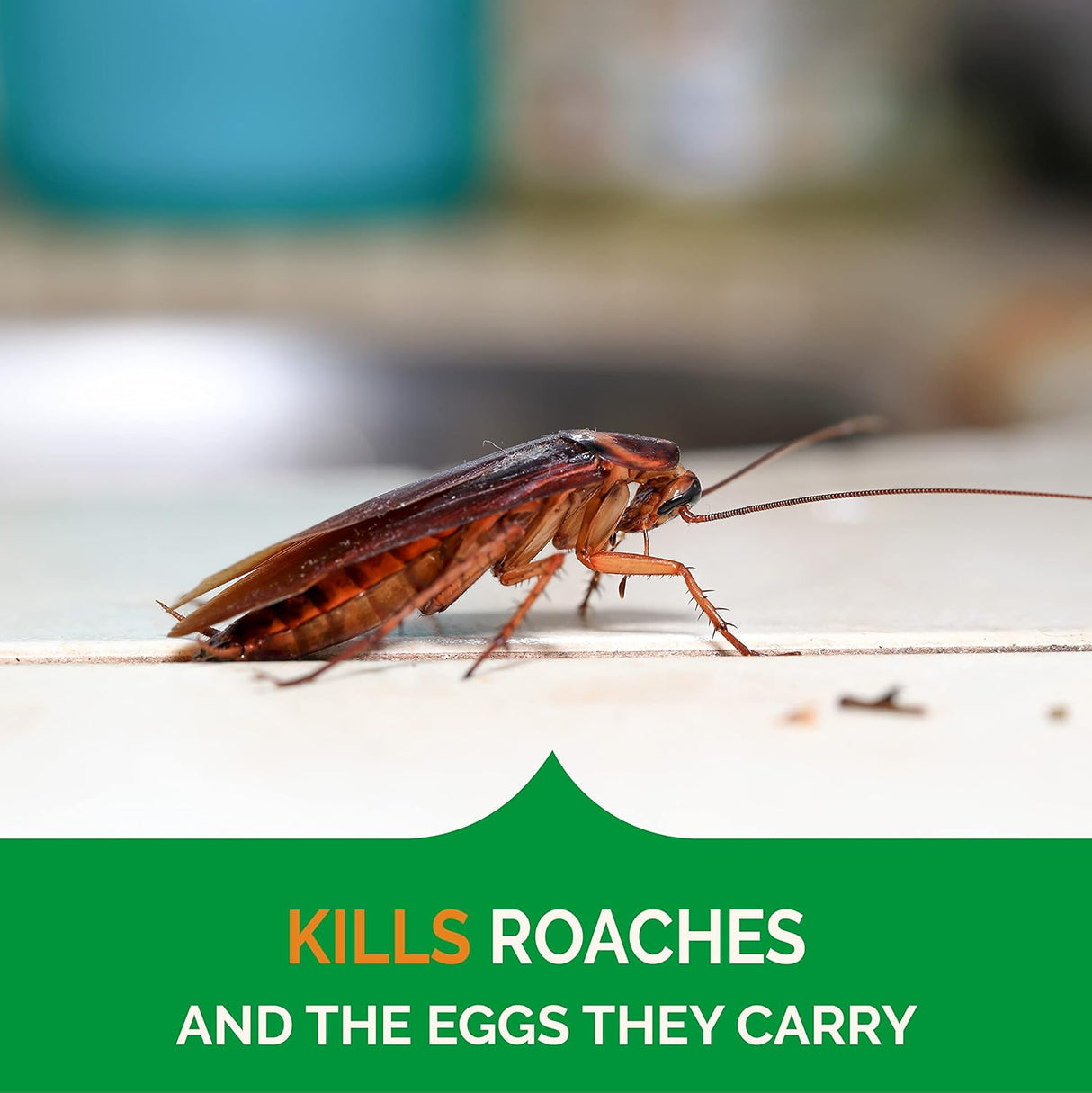 Cebo Gel Ultra Claro para Cucarachas y Hormigas Hot Shot 2.5 oz