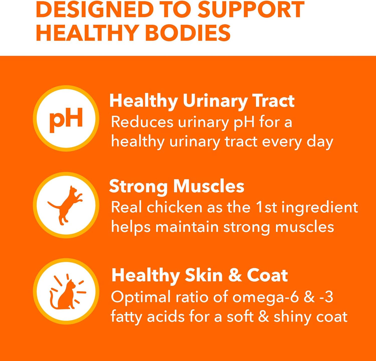 Alimentos seco saludable para gatos con croquetas de pollo