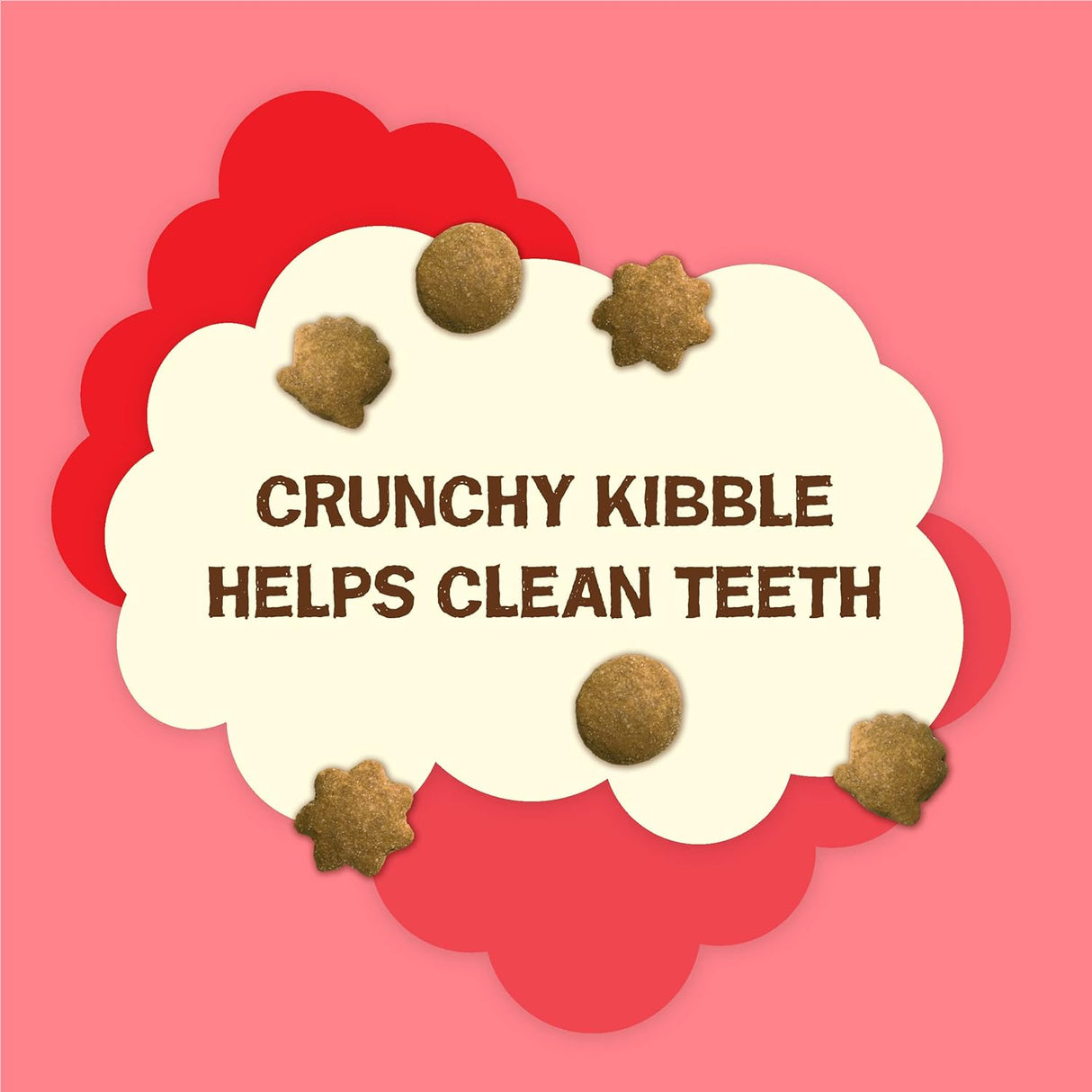 Galletas para Gatos Friskies Natural Yums con Salmón 20 Oz.