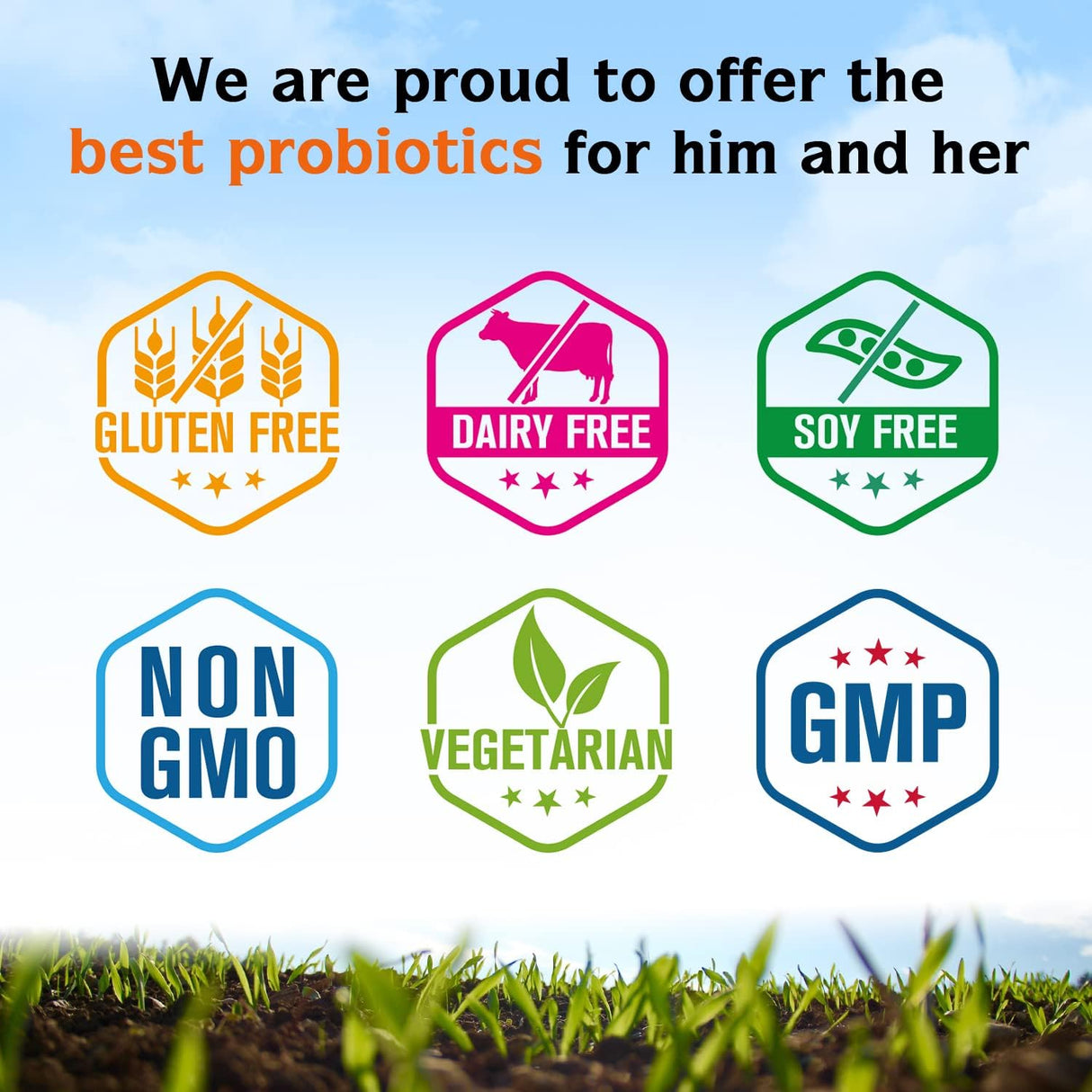 Probióticos con Prebióticos y Enzimas, Digestión e Inmunidad