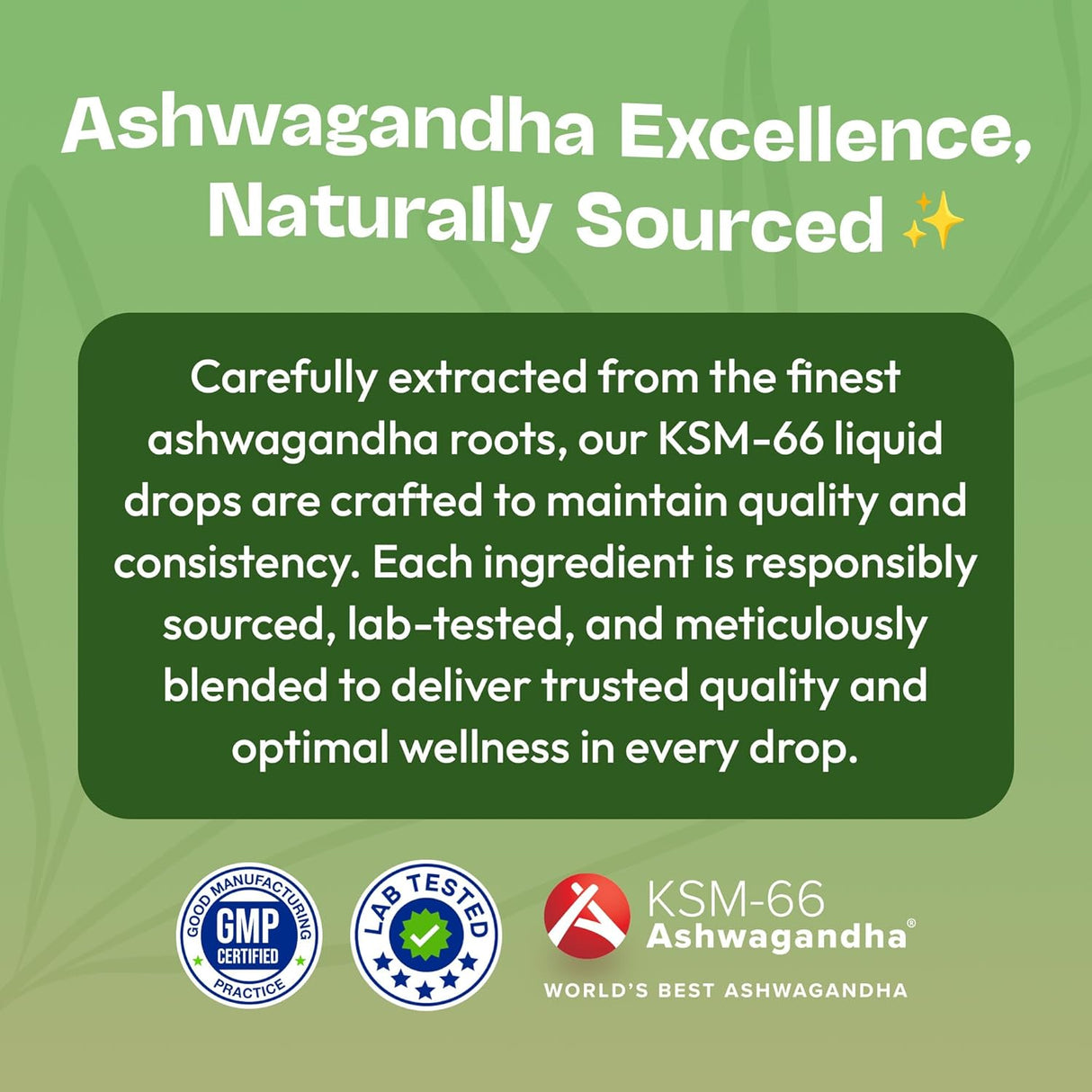 Suplemento ashwagandha KSM 66 líquido vegano, 60ml