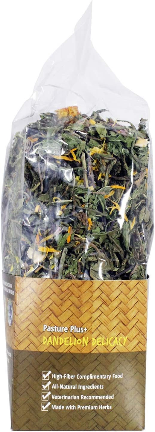 Delicia de Diente de León - Pasture Plus+, Alta Fibra, 100g