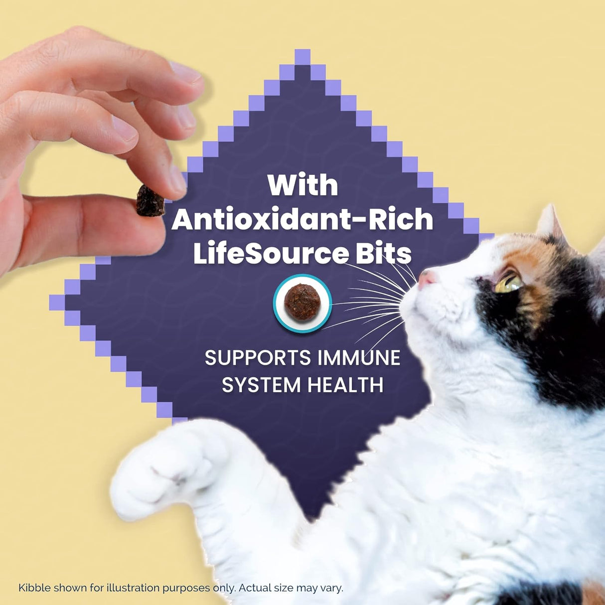 Blue Buffalo Comida para gatos, receta natural de pollo, Wilderness alta en proteínas, alimento seco para gatos adultos, bolsa de 12 libras