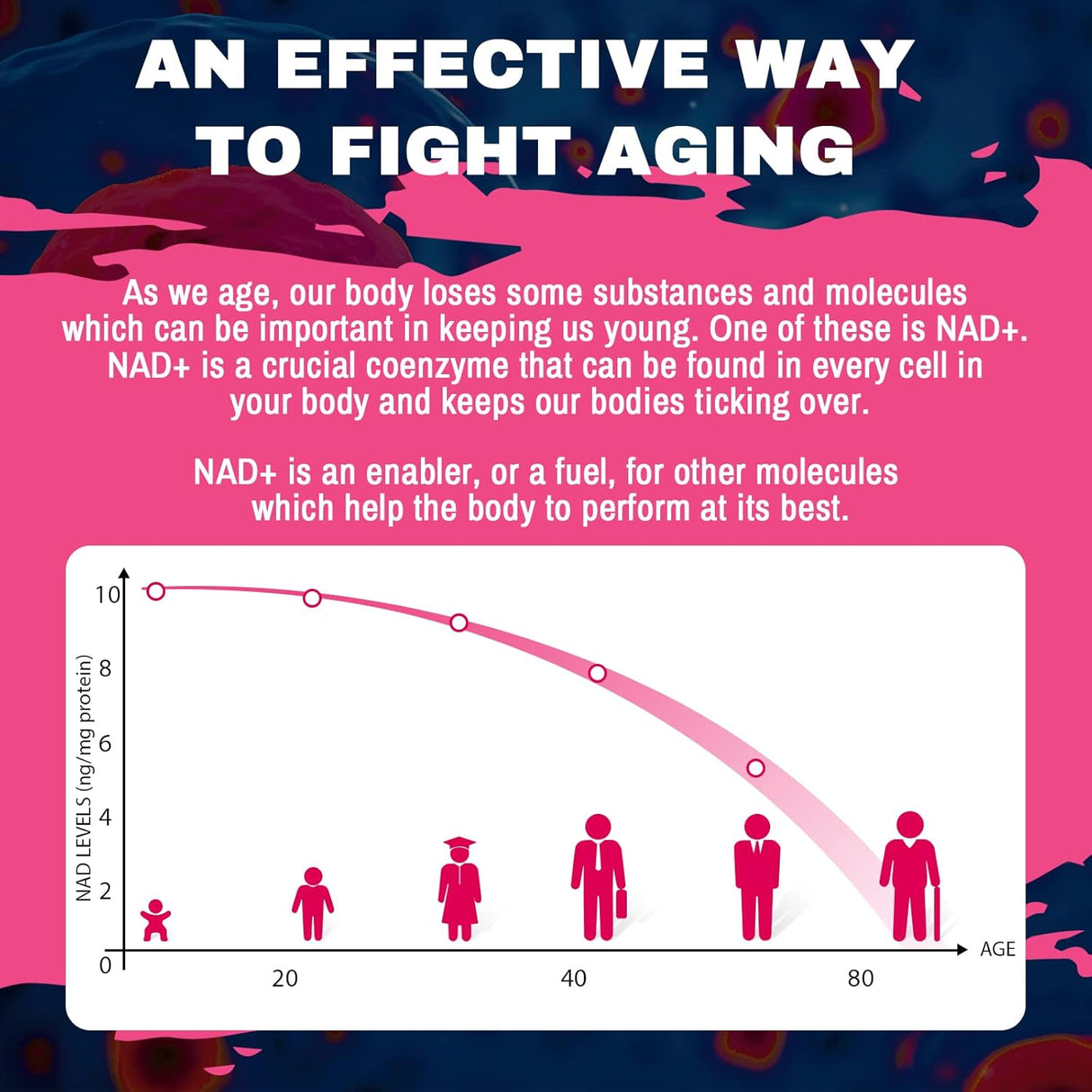 Suplemento liposomal NAD+ de 1200 mg ultra pureza 60 cáp