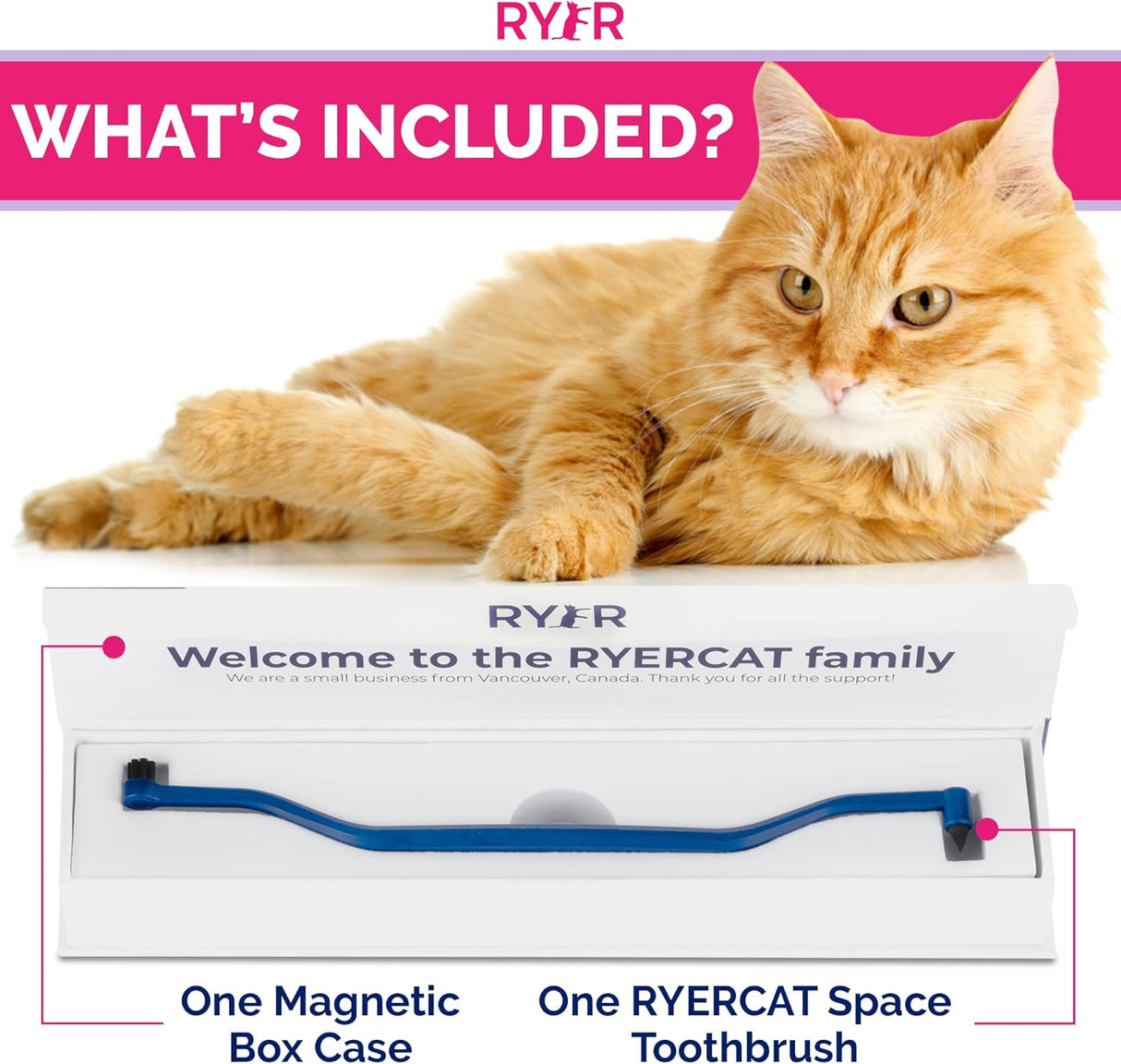 Cepillo de dientes para gatos de doble cara