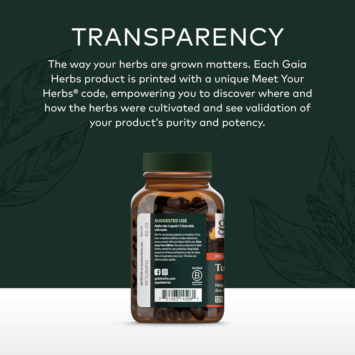 Suplementos Alimenticios de cúrcuma líquida para fuerza