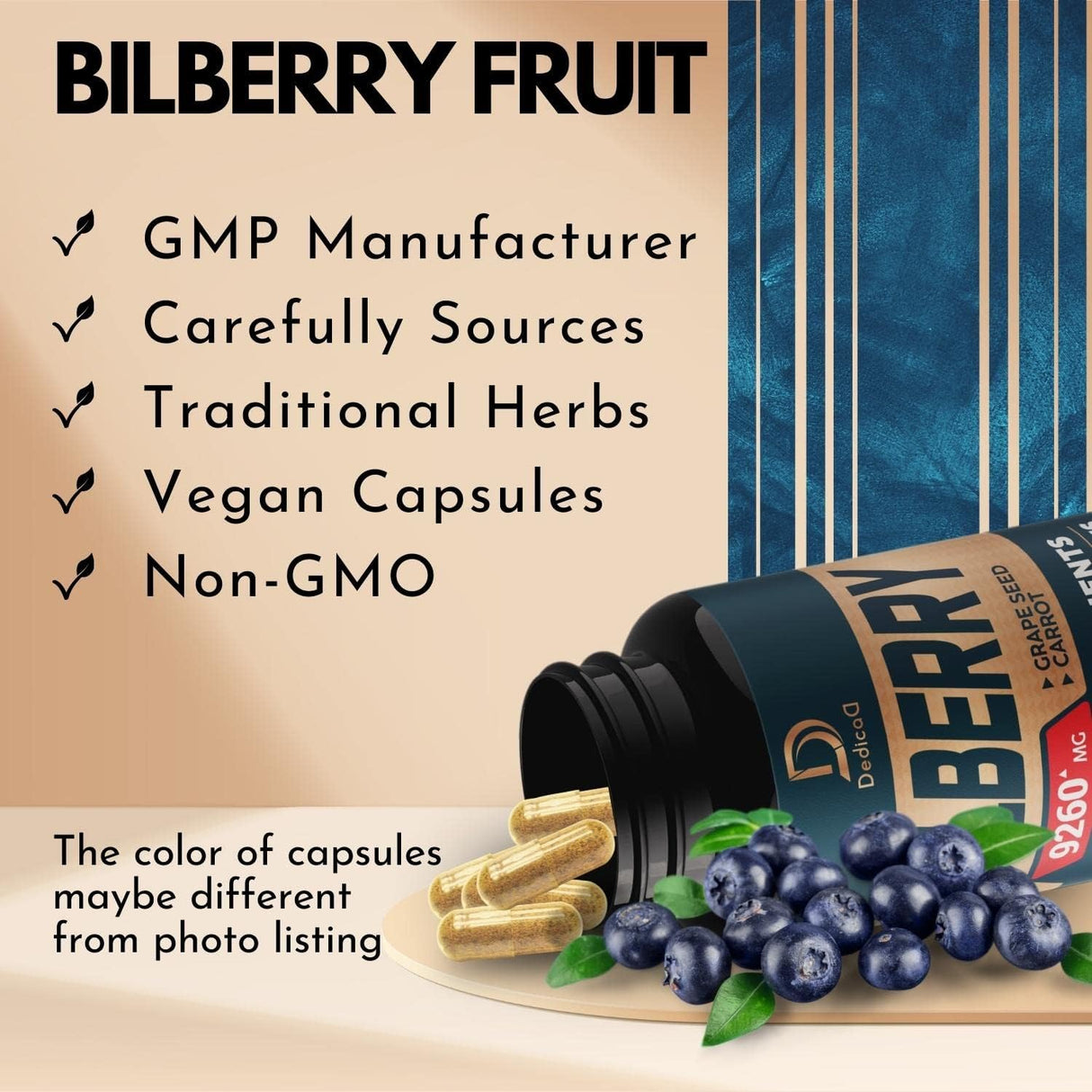 Suplemento de extracto de arándano 10 en 1 para ojos 90 cáp