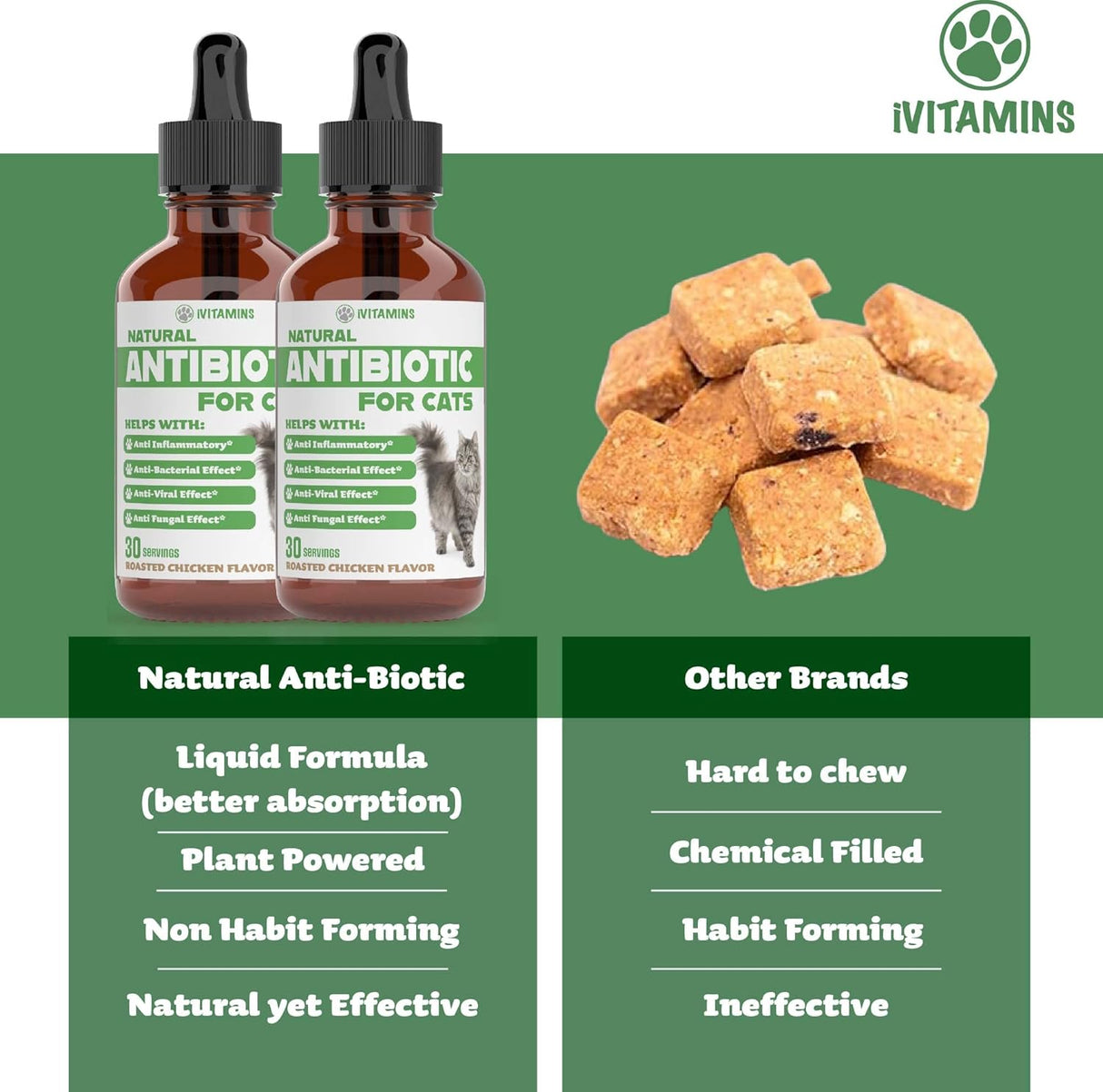 Suplementos para gatos, Antibióticos para gatos
