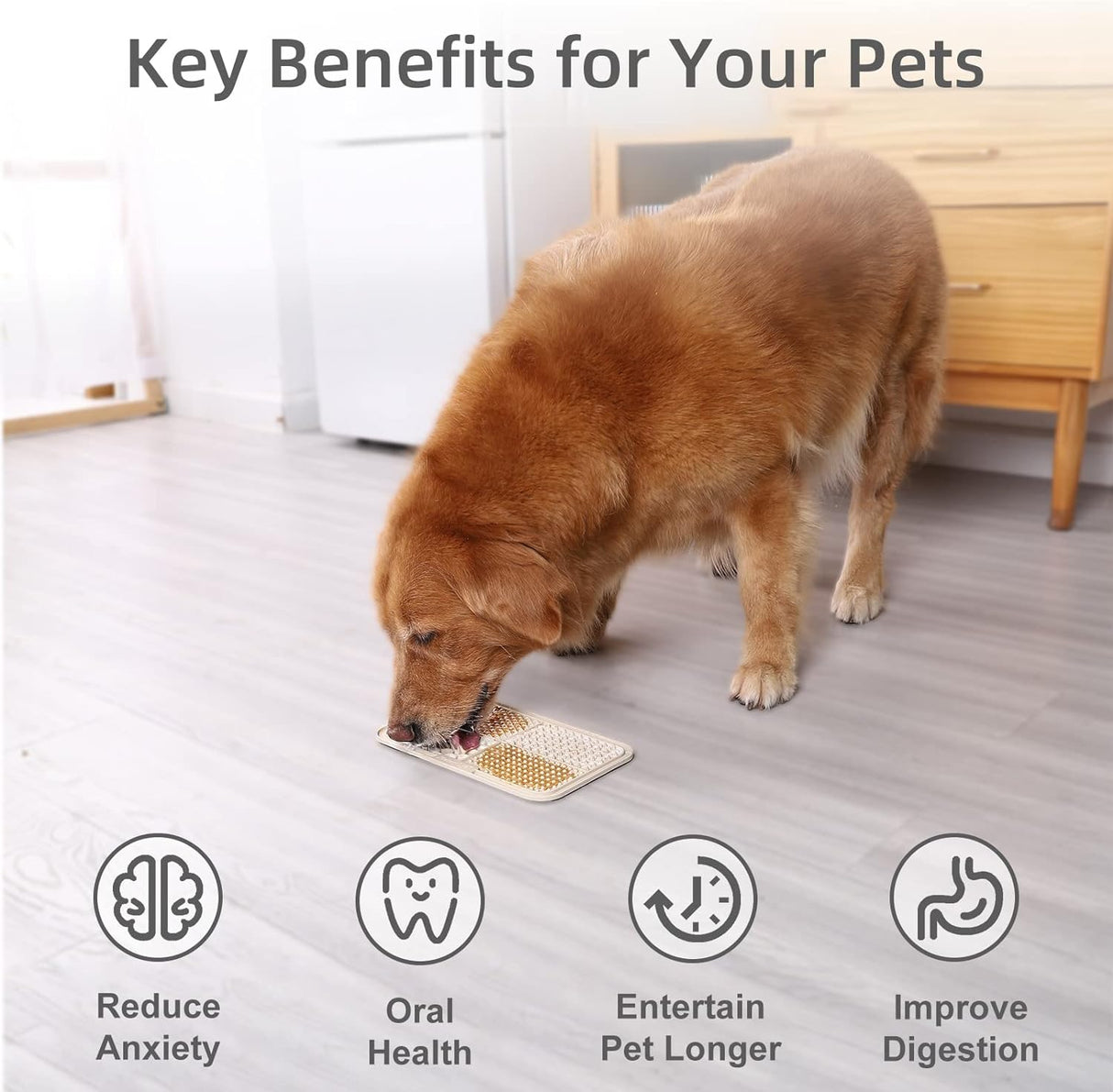 2 comederos grandes para perros y lamer tapete