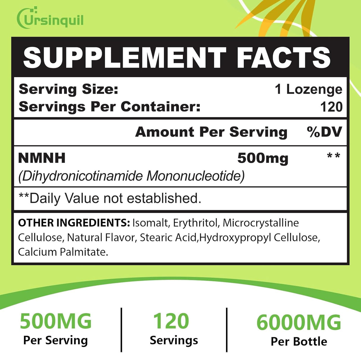 Suplemento Sublingual NMNH 500mg - Energía y Enfoque