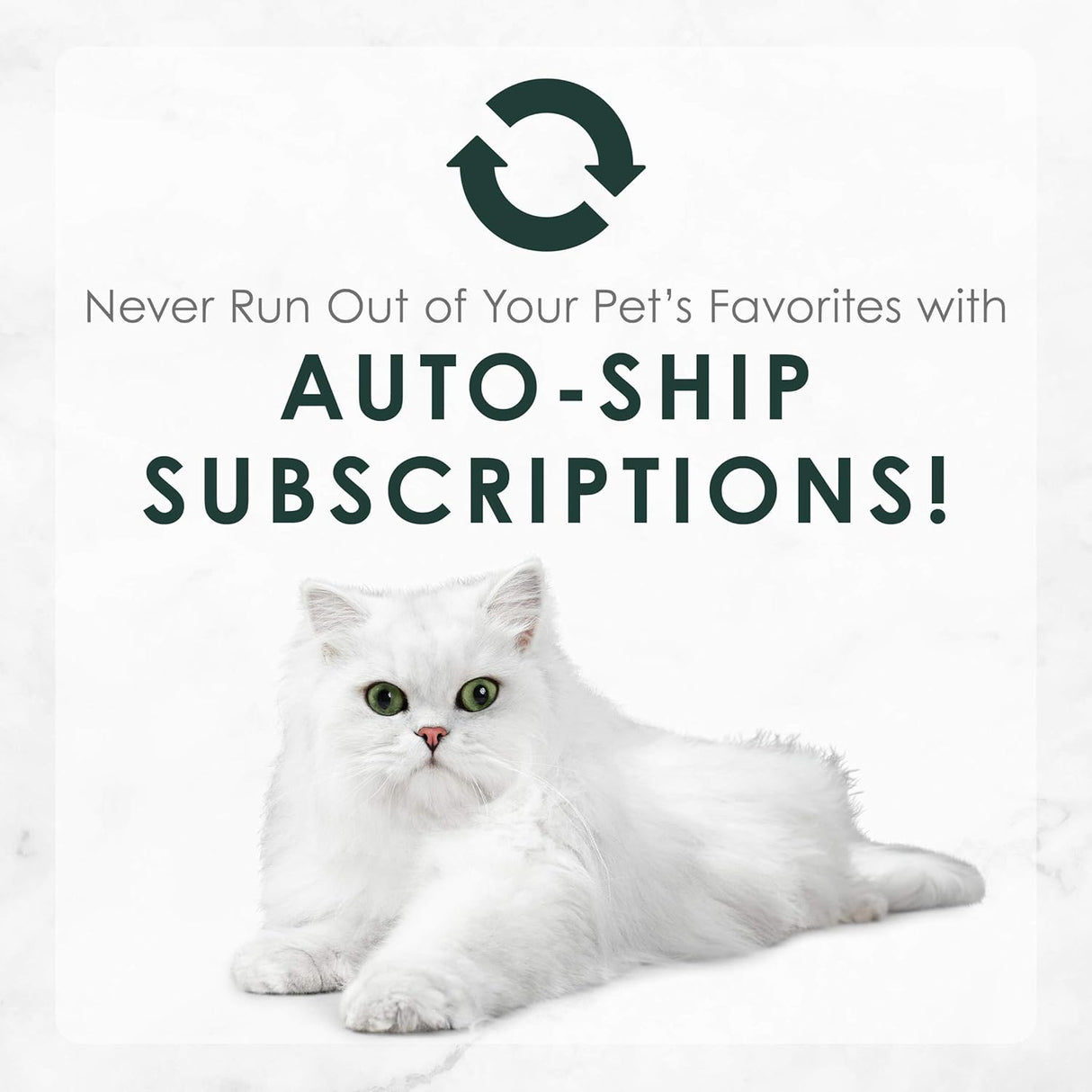 Alimento para Gato húmeda Pack of 24 3 Ounce