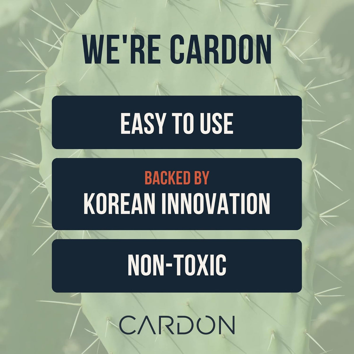 Limpiador Facial Arcilla Cardon, Piel Grasa y Acné, 1 CT