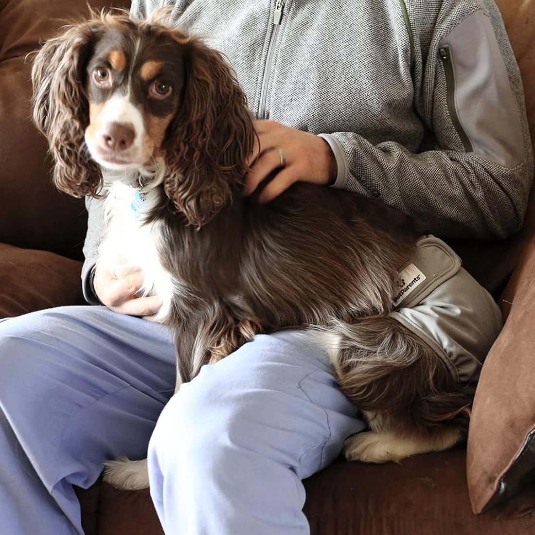 Pet Parents - Pañales lavables para perros y hembras