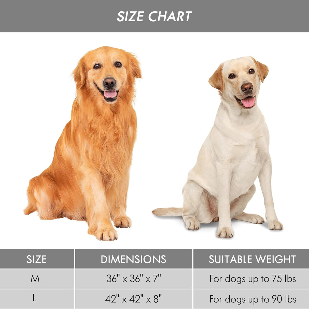 Cama ortopédica para perros grandes ClevaHome, doble capa, lavable