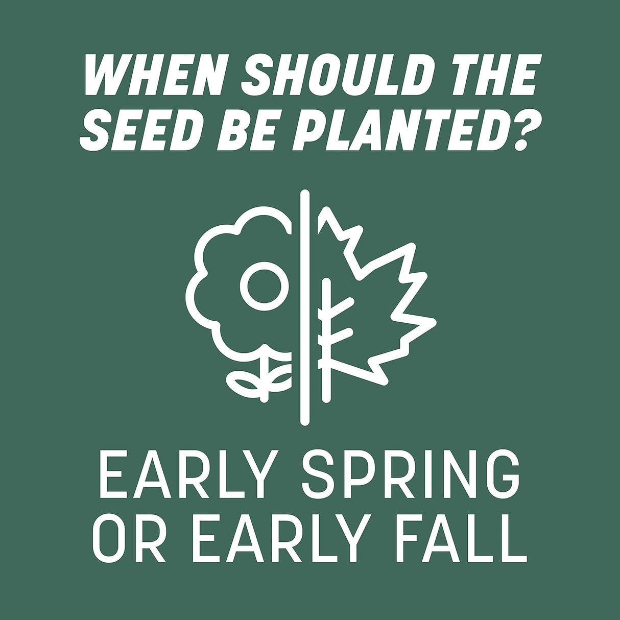 Semilla de Césped Tall Fescue Penkoted 3 lb Pennington Kentucky