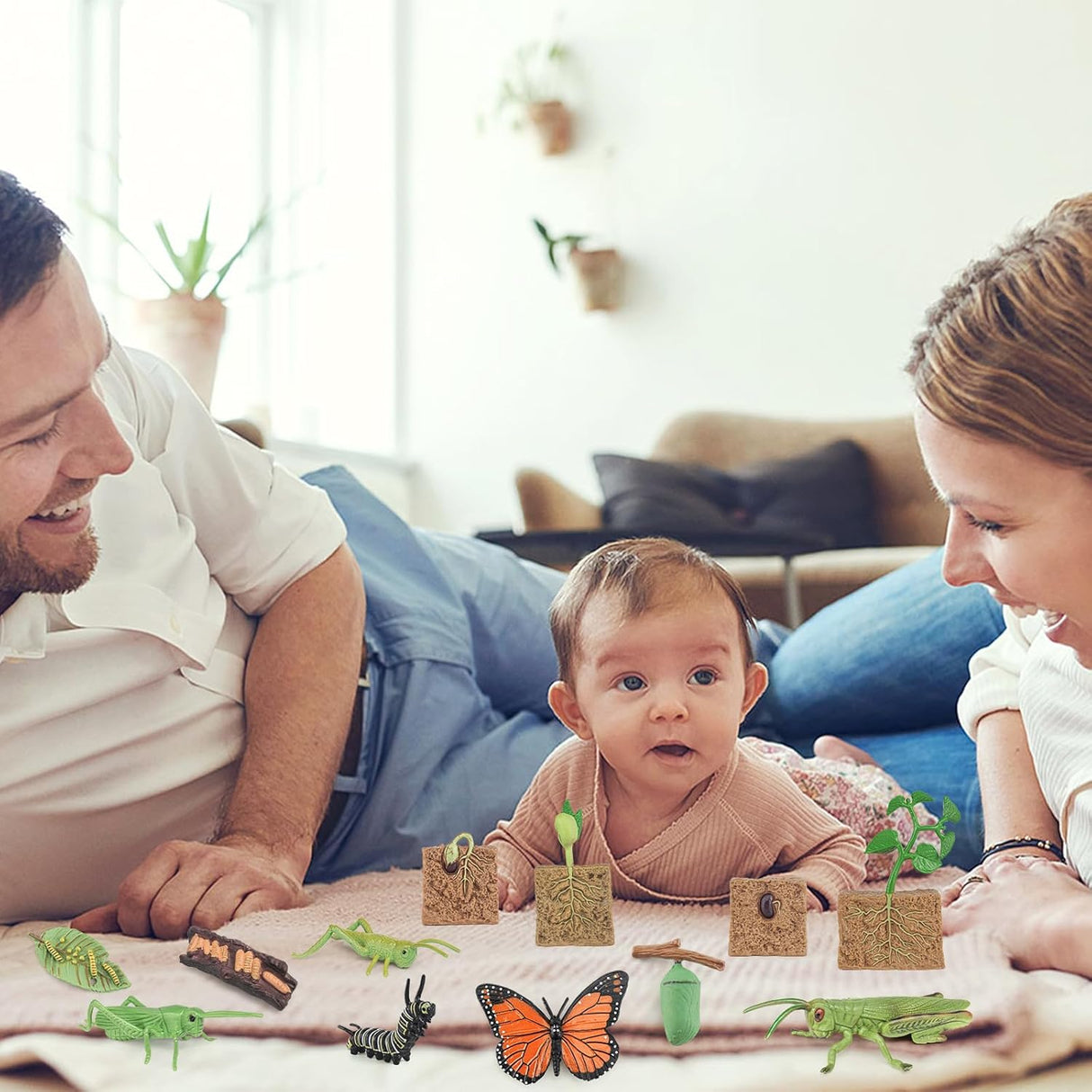 Juego de 12 Figuras de Ciclo de Vida - Juguetes Educativos