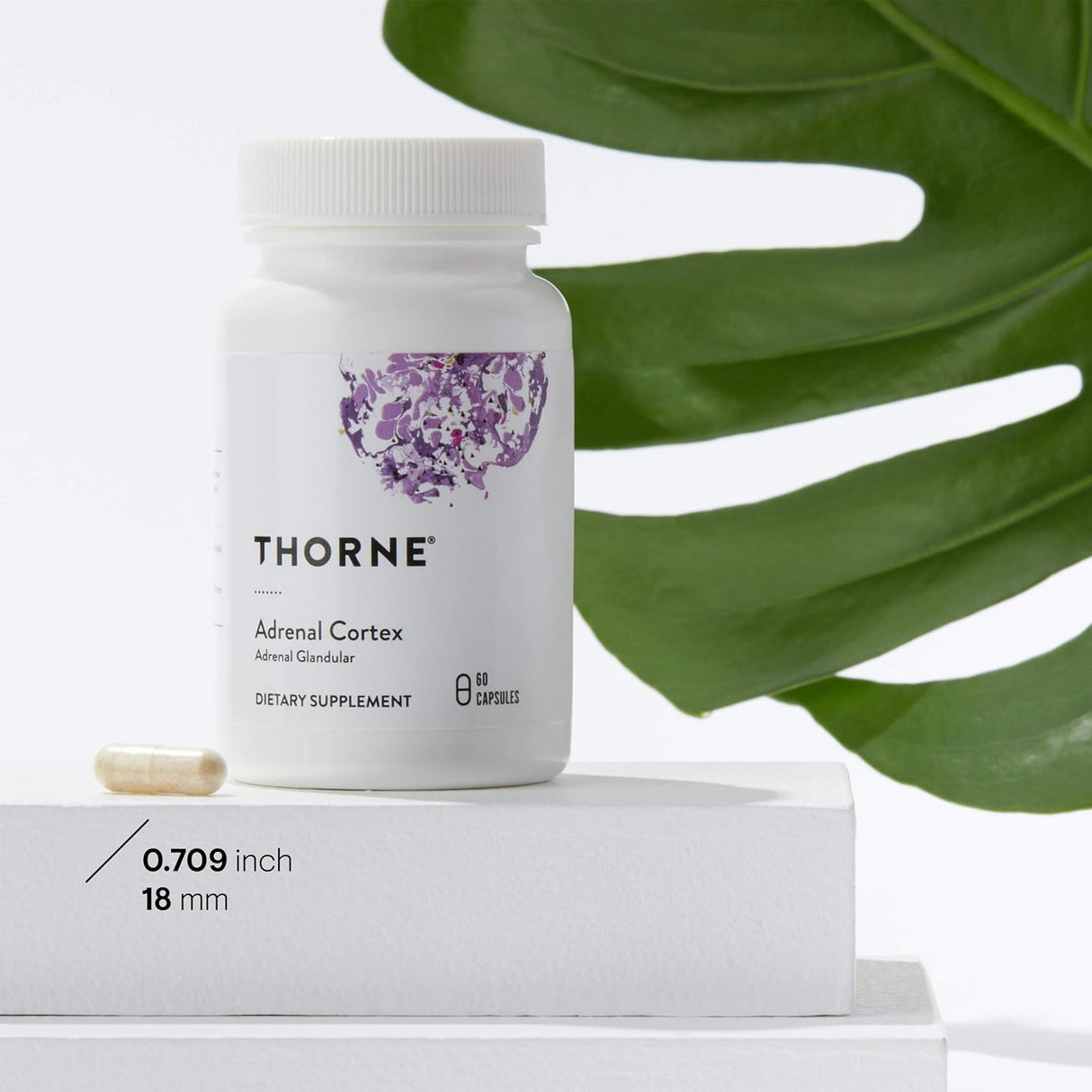 Suplementos Alimenticios corteza suprarrenal