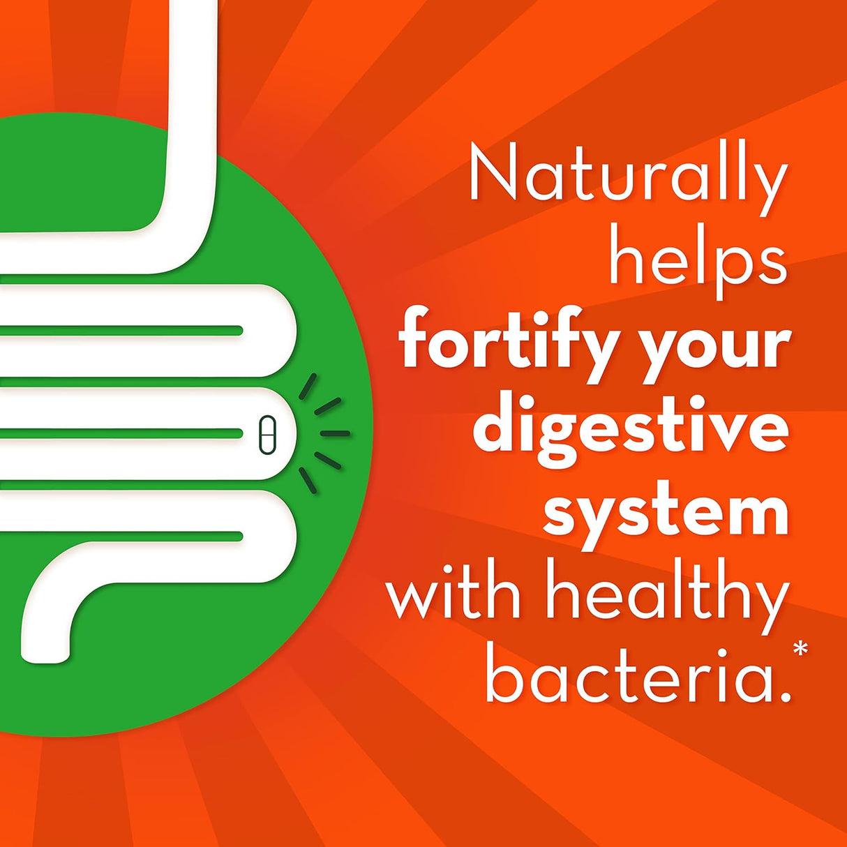 Suplementos Probiótico para la salud intestinal 28 cápsulas