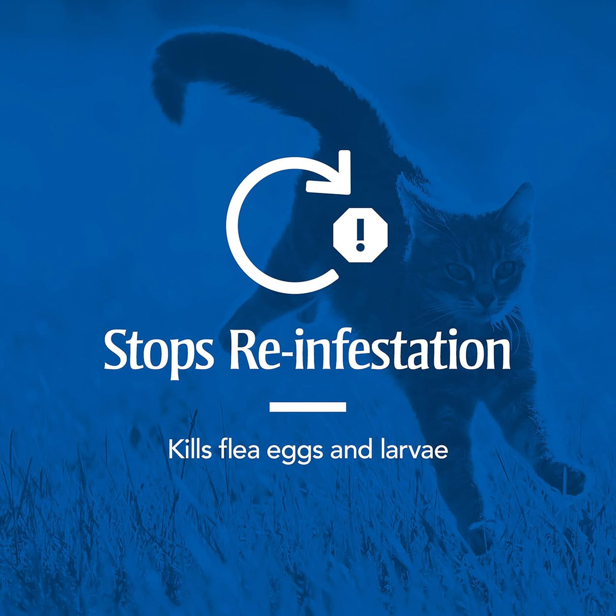 Tratamiento Antipulgas de pulgas y garrapatas para gatos