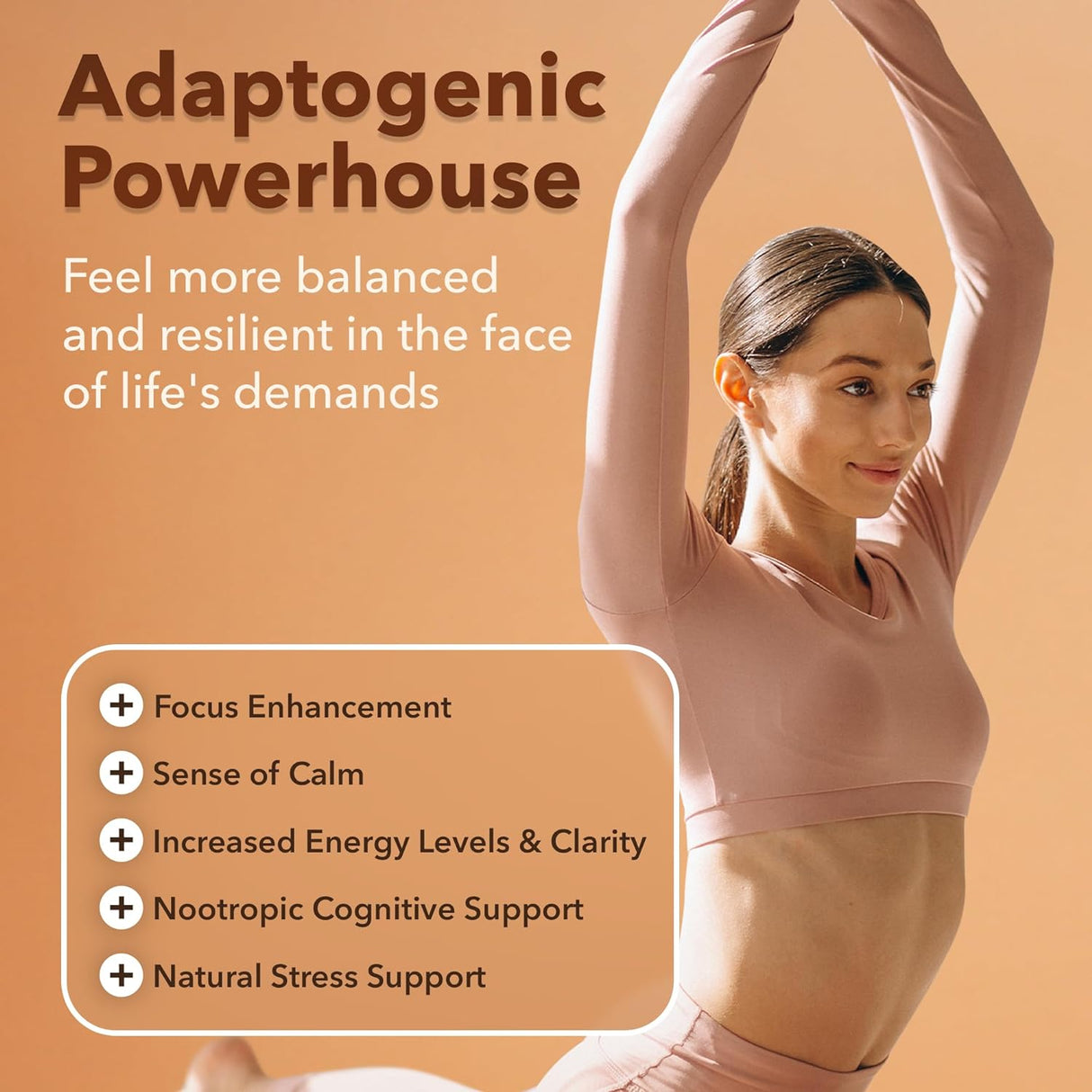 Suplemento Orgánico con Melena de León y Hongos Adaptógenos