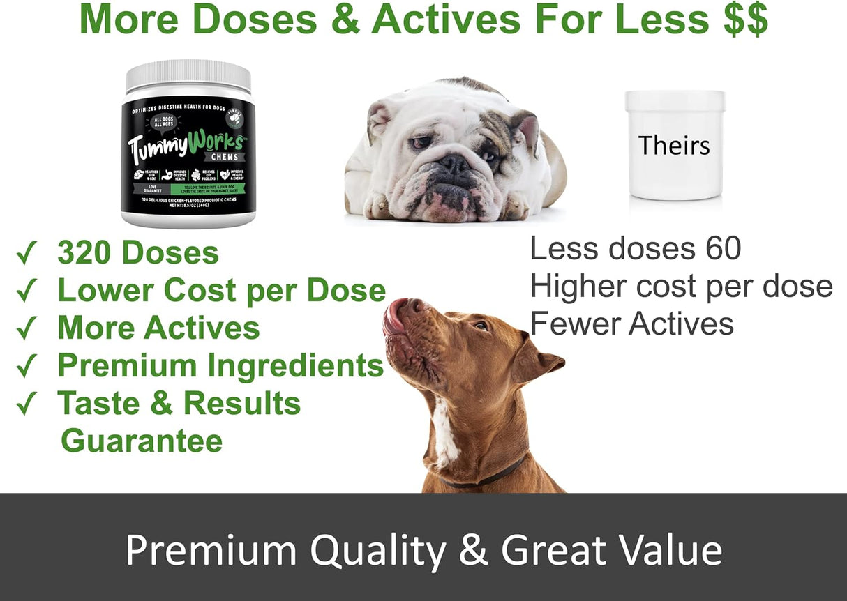 Vitaminas Probióticos para perros y gatos El mejor polvo