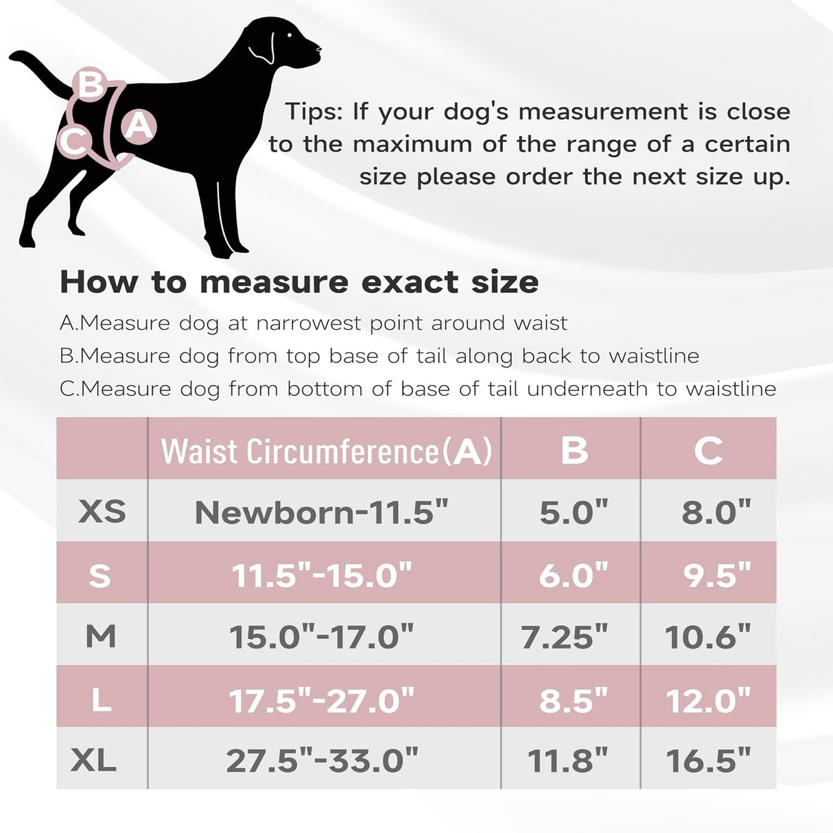 Paw Legend - Pañales reutilizables para perro hembra, 3 unidades