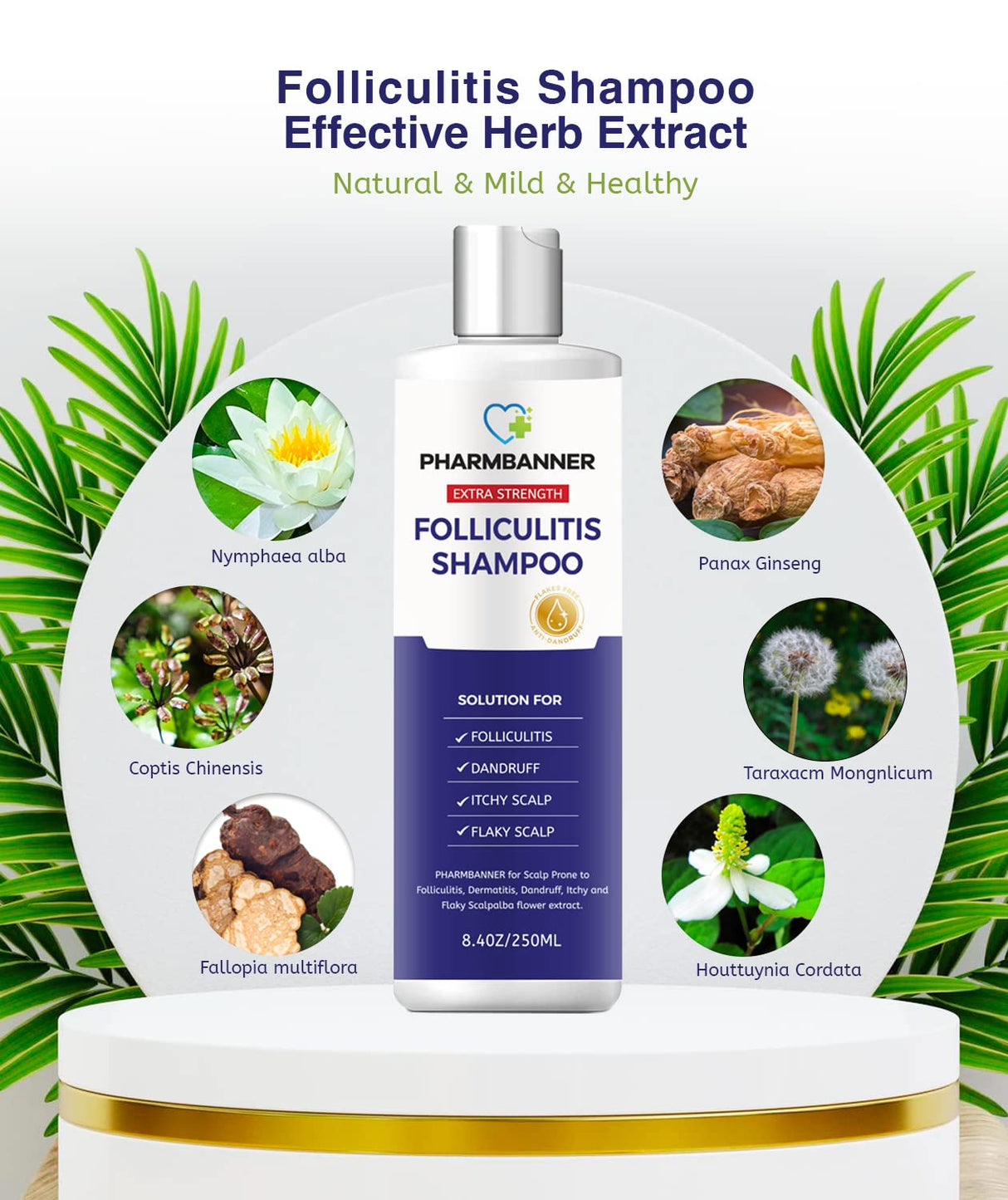 PHARMBANNER Foliculitis champú para dermatitis seborreica
