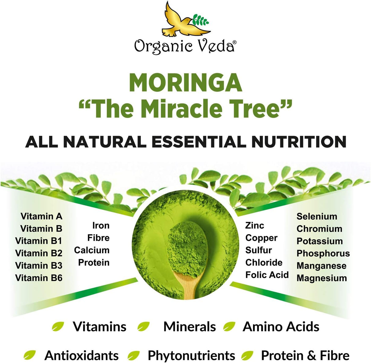 Cápsulas de Moringa Oleifera 1200 mg - Suplemento Energizante
