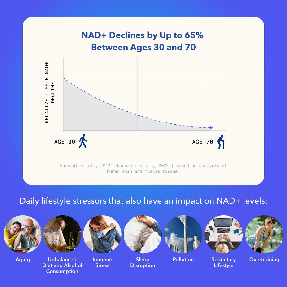Suplemento Construcción de aminoácidos