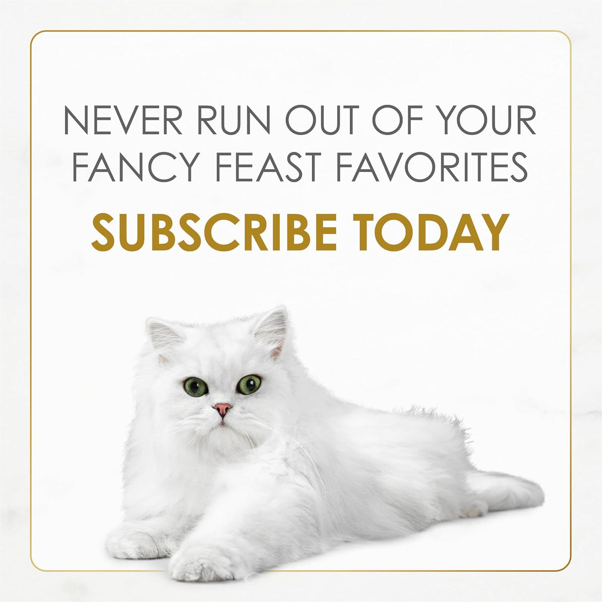 Comida Húmeda para Gatos Purina Fancy Feast con Salsa de Res