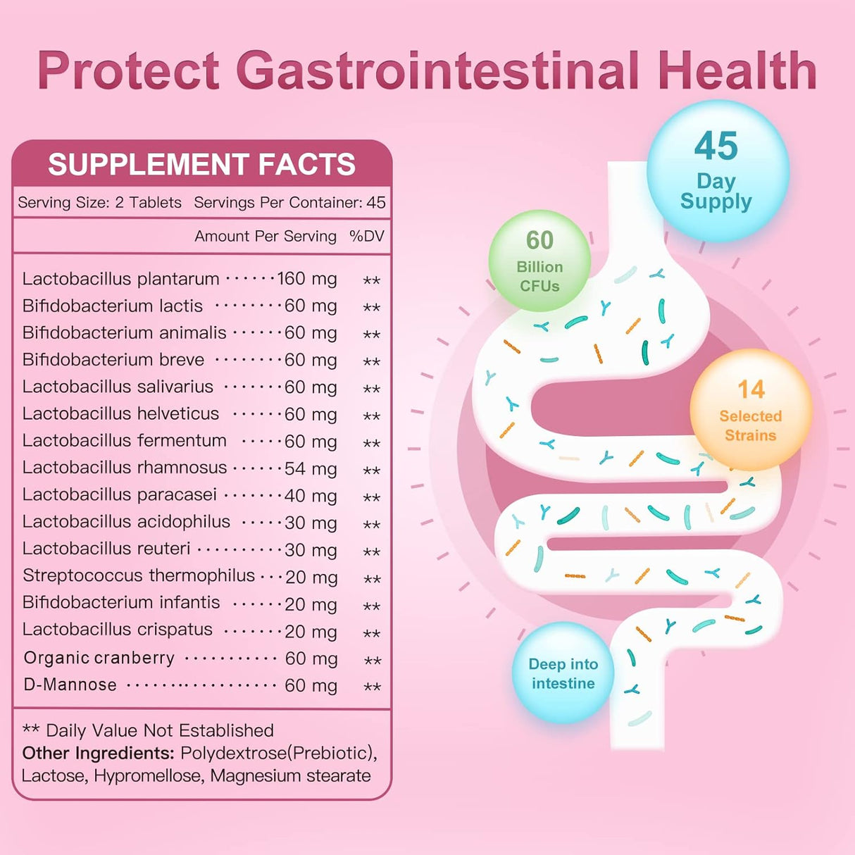 Probióticos para mujeres, probióticos y prebióticos, arándan