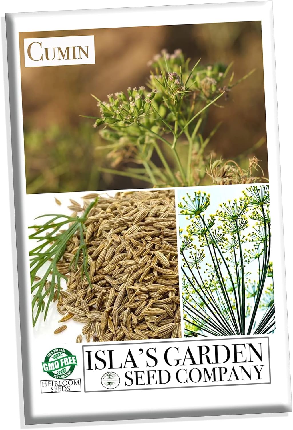 Semillas de Comino, Isla's Garden Seeds, No GMO, 300+ semillas
