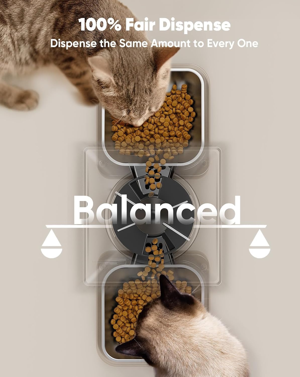 Comedero Automático para Gatos oneisall 20 Tazas/5L Model: 2023