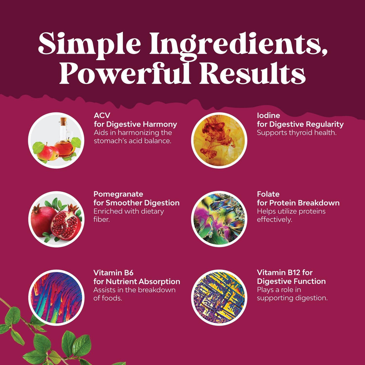 Quemador de grasa extra fuerte suplemento natural Bio Sense