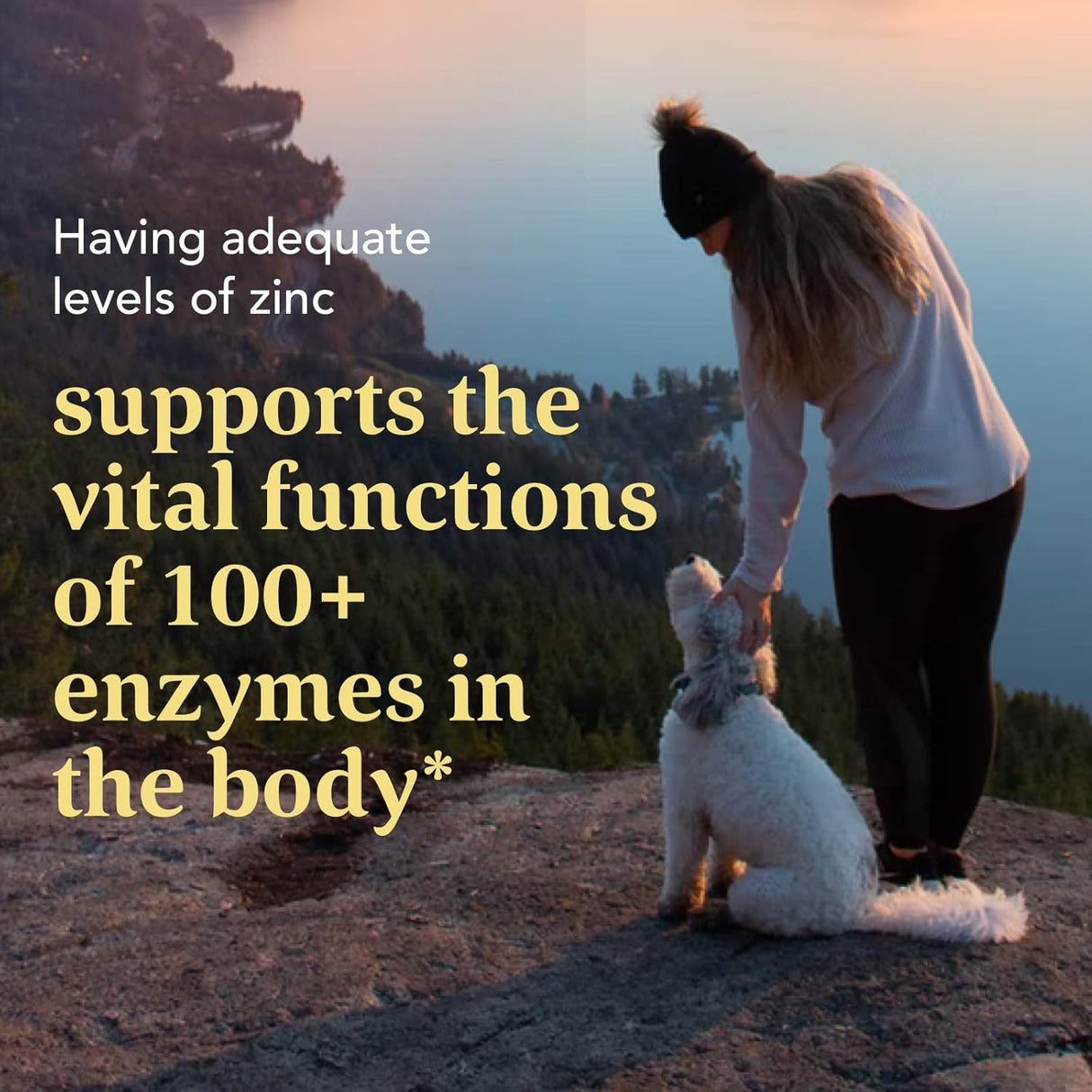 Suplemento de apoyo para la salud inmune con zinc vegano