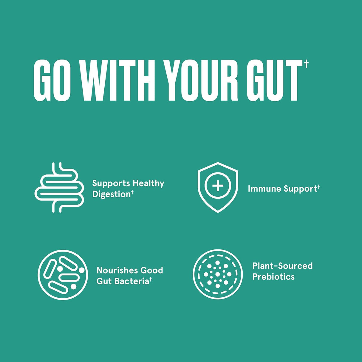 Suplementos Alimenticios Polvo de fibra prebiótica