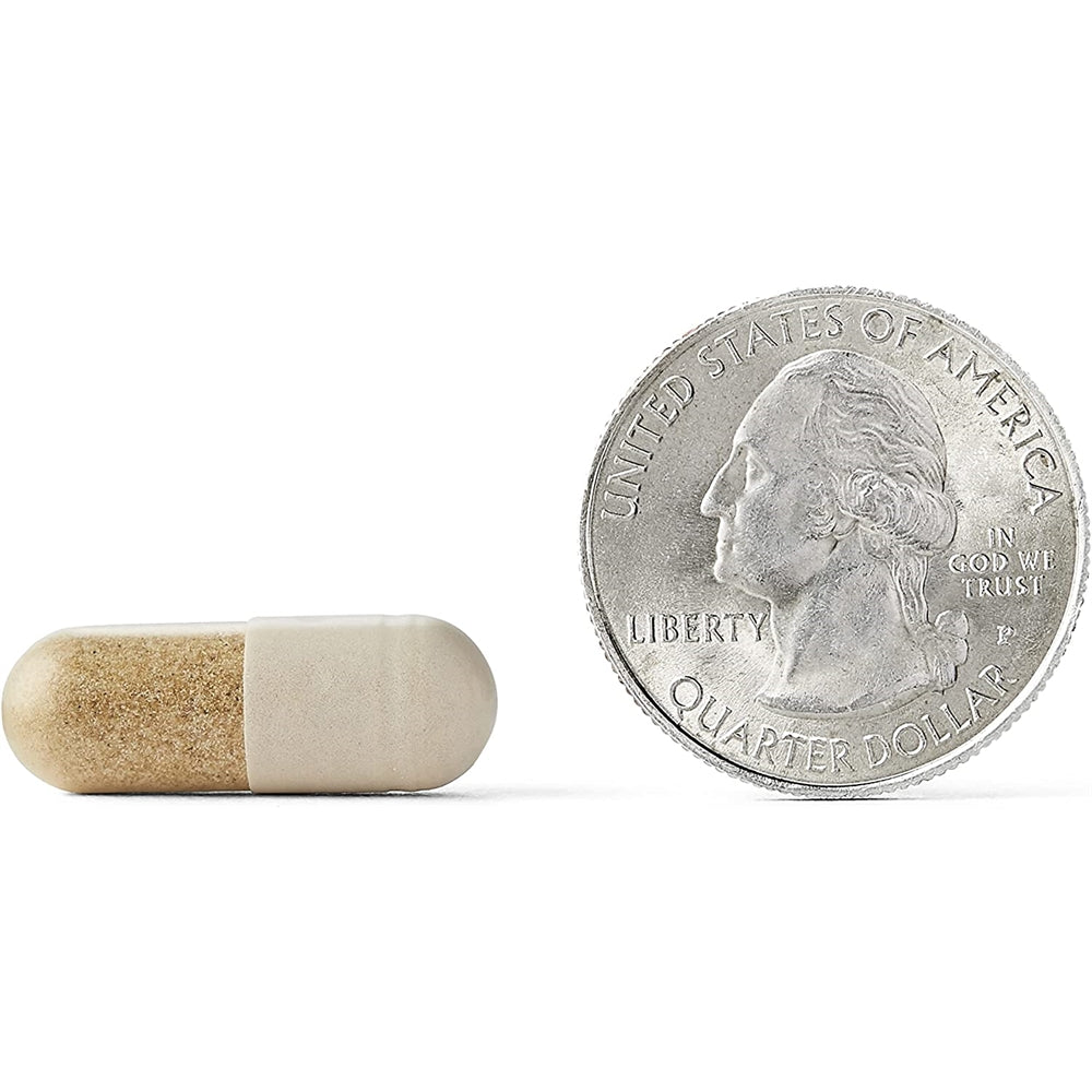 Suplementos Alimenticios de apoyo cerebral cerebral Plus