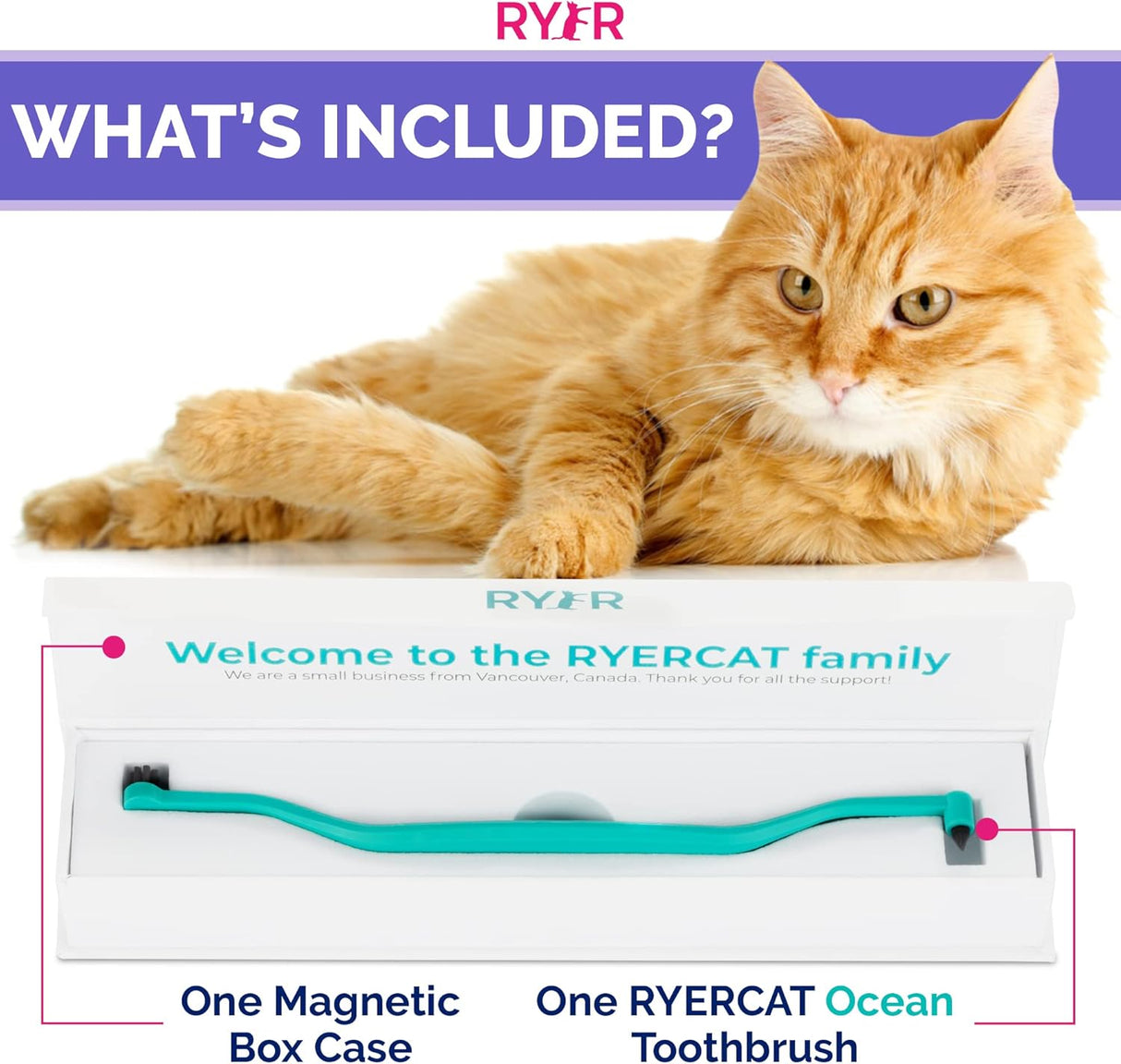 Cepillo de dientes para gatos con microcabeza