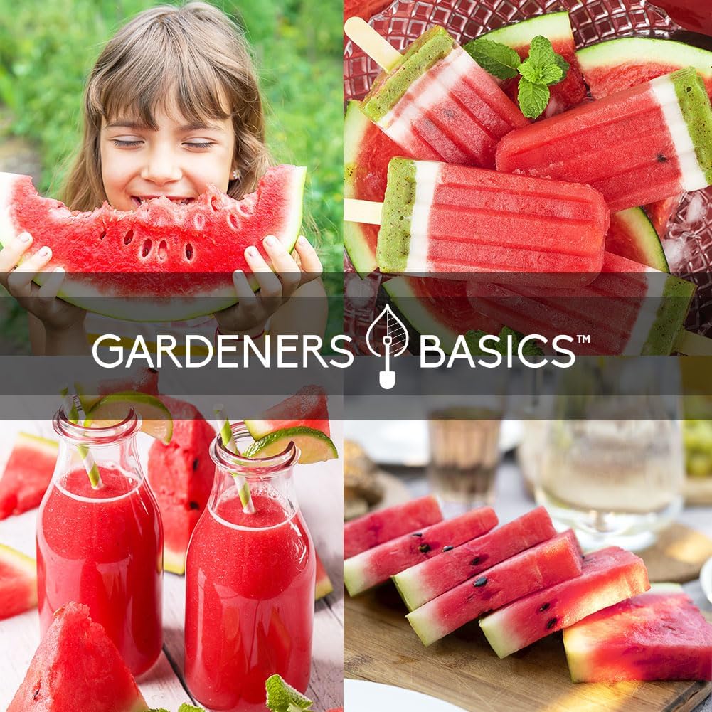 Semillas de Sandía para Jardín - Gardeners Basics, 5 Variedades