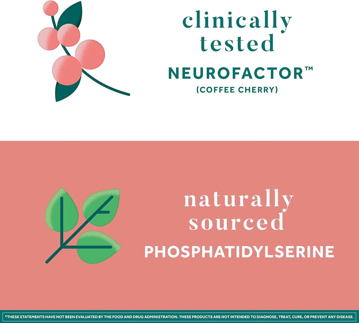 Suplementos Alimenticios de apoyo cerebral