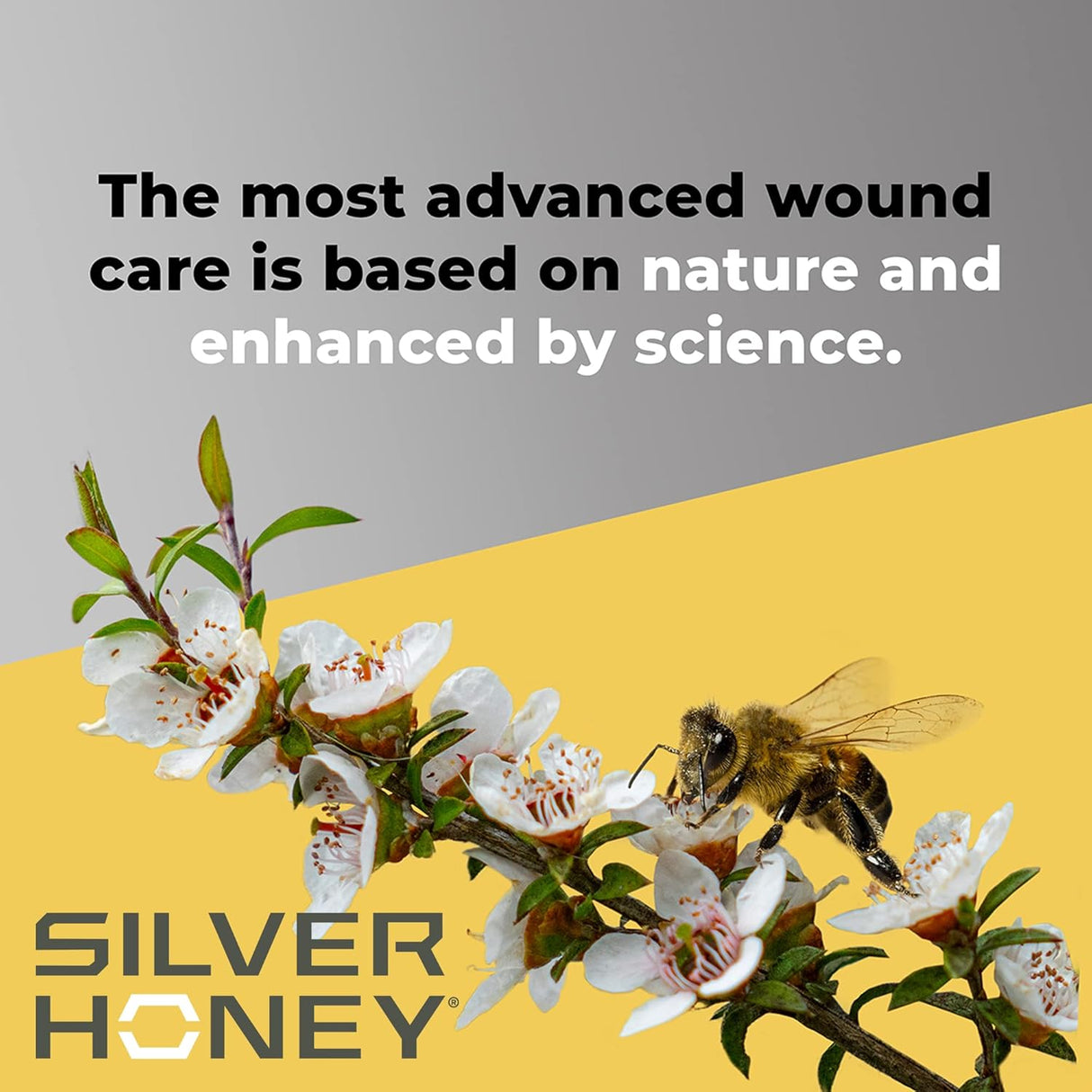 Suplementos para el cuidado de manchas calientes de gatos