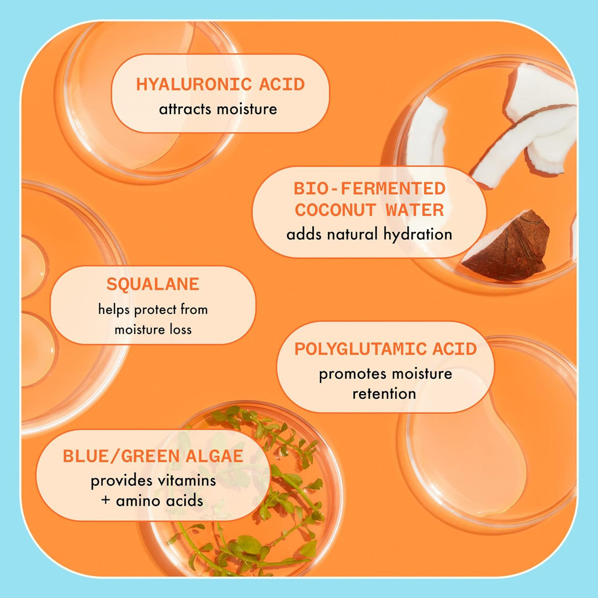 Shampoos y Acondicionadores intensa con ácido hialurónico