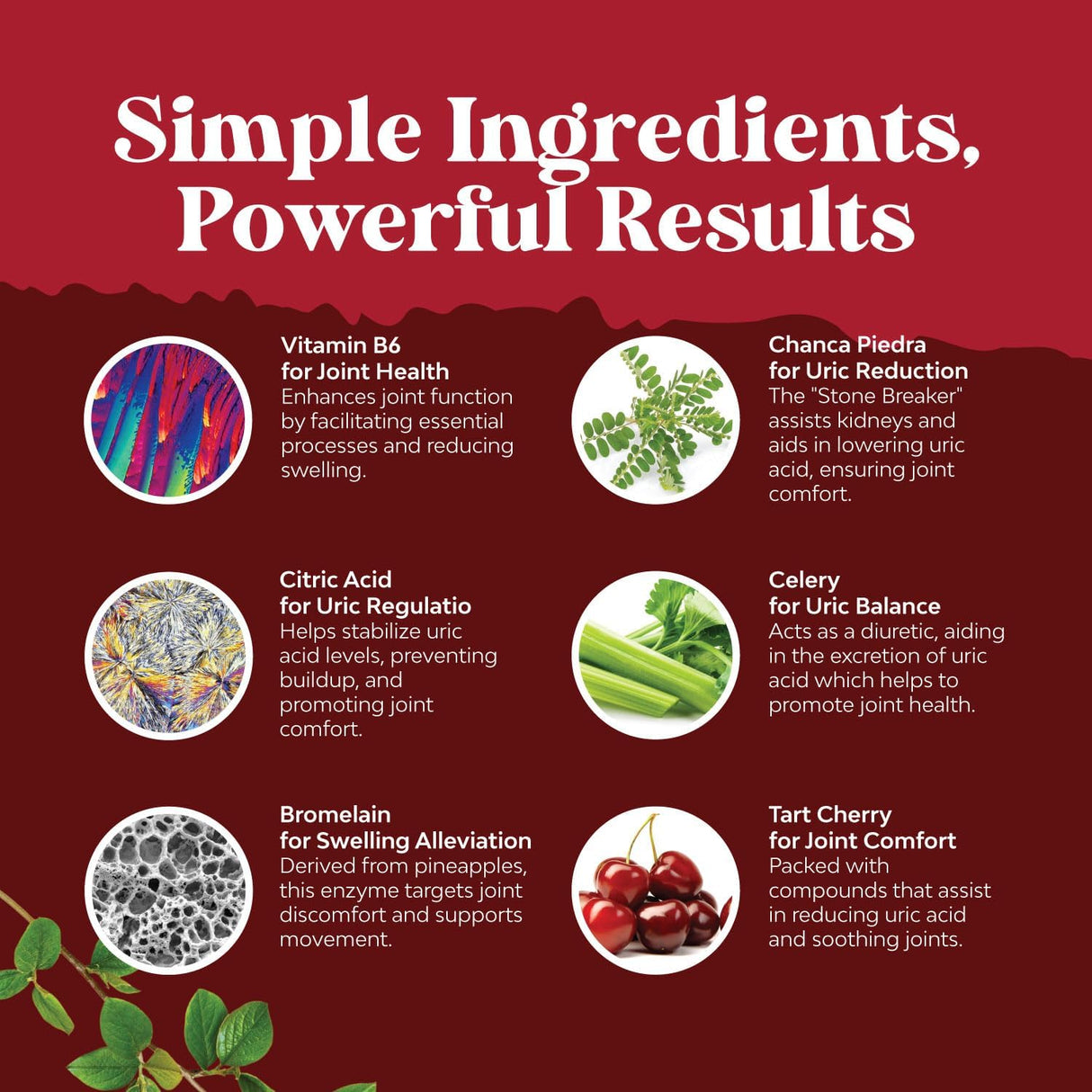 Limpieza y desintoxicación de ácido úrico a base de hierbas