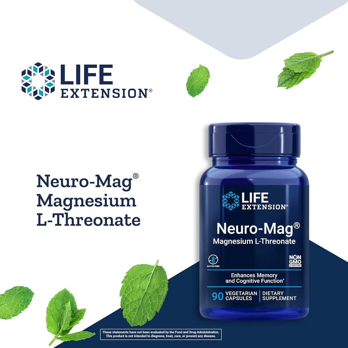 Suplementos Alimenticios memoria enfoque