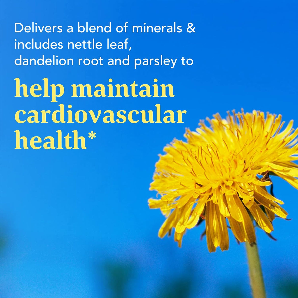 Suplemento Limpiador de colon desintoxicación Lactobacillus