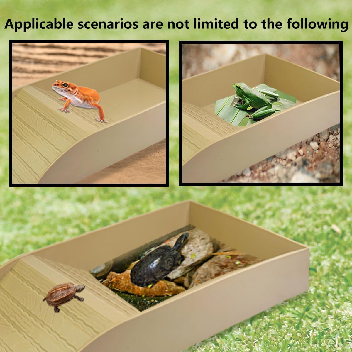 3 PCS Comedero para Tortugas y Plato de Agua, Reptiles